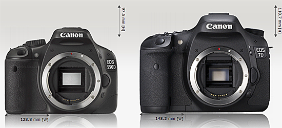 Canon 550D dan Canon 7D menghasilkan foto dengan kualitas yang sama