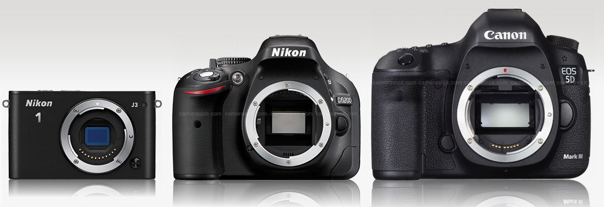 Nikon J3 (paling kiri) dibandingkan dengan kamera DSLR bersensor APS-C dan full frame (paling kanan)