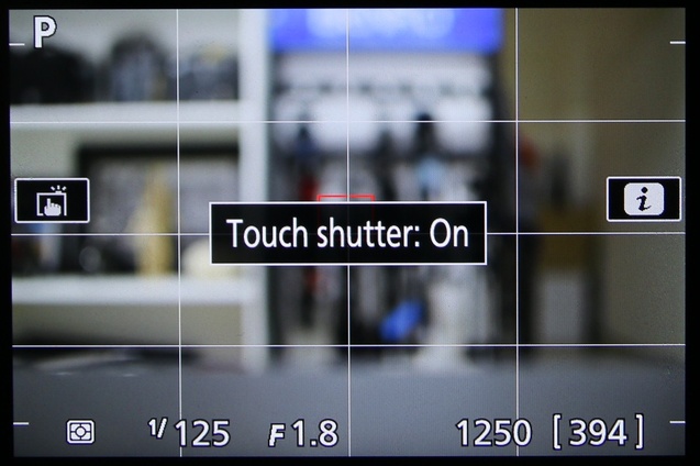 Tampilan live view di D5500, kita bisa sentuh area di layar untuk menentukan fokus, juga kalau mau bisa pakai touch shutter