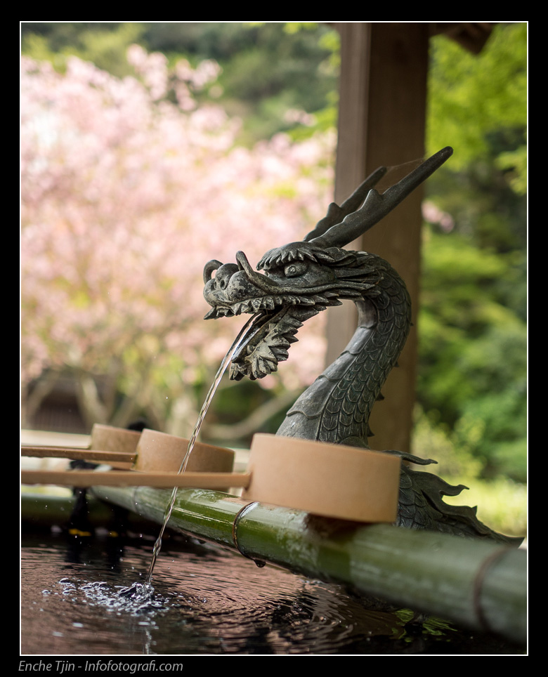 dragon-water