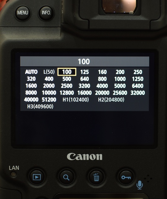Kamera masa kini punya banyak pilihan ISO, terasa overwhelming bagi pemula